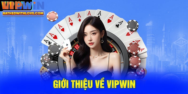 Tổng quan về nhà cái Vipwin